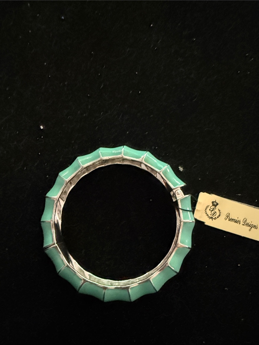 Premier Designs Mint Green Hinged Enamel Bangle Bracelet | Silver Tone